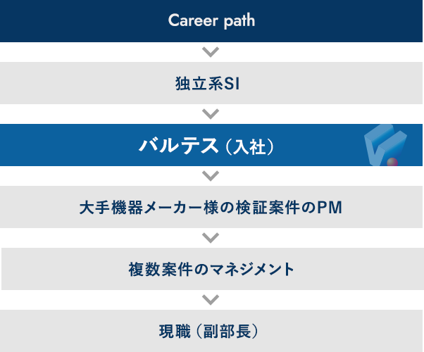 Career path
